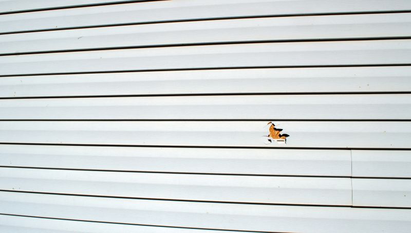 Siding Repair & Maintenance